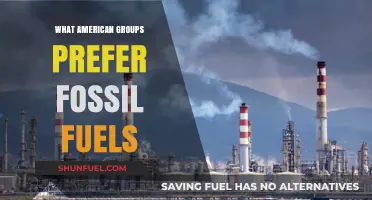 Fossil Fuel Fans: Understanding America's Fuel Preferences