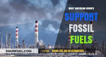 Fossil Fuel Advocates: American Groups Supporting the Industry