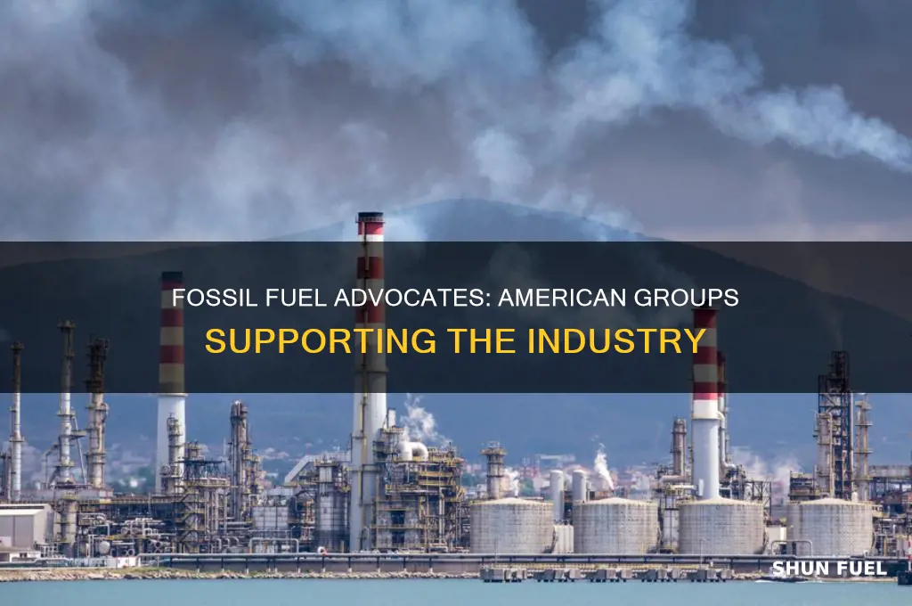 what american groups support fossil fuels