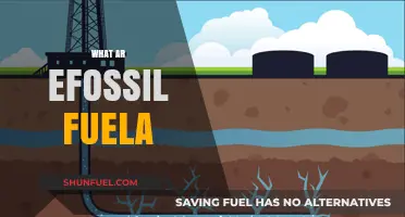 Understanding Fossil Fuels: Origins, Uses, and Environmental Impact Explained