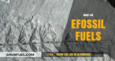 Understanding Fossil Fuels: Origins, Uses, and Environmental Impact Explained