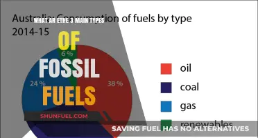 Fossil Fuel Fundamentals: Understanding the Big Three