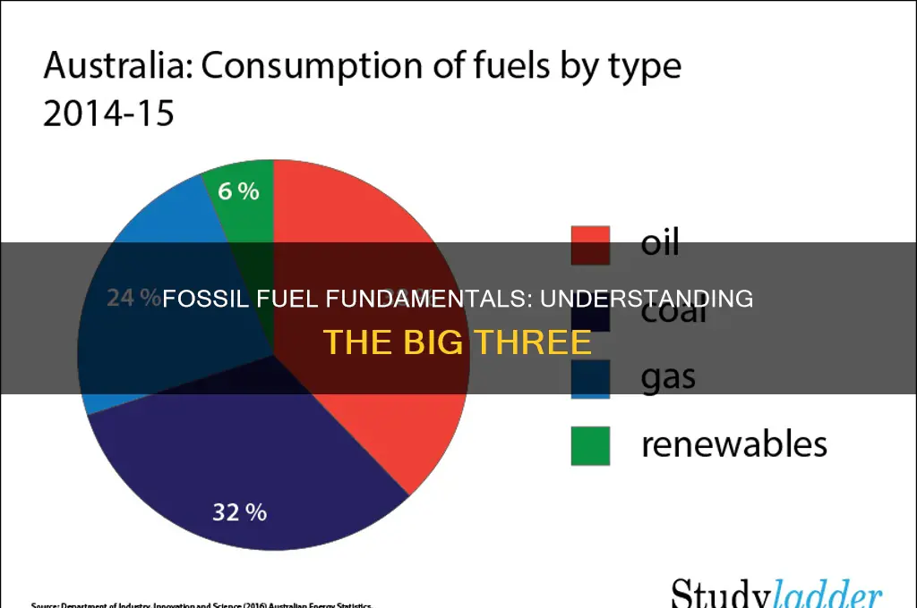 what ar ethe 3 main types of fossil fuels