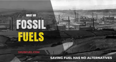 Fossil Fuels: Energy of the Past