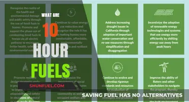 Understanding 10-Hour Fuels: Sustainable Energy Sources for Long-Lasting Power