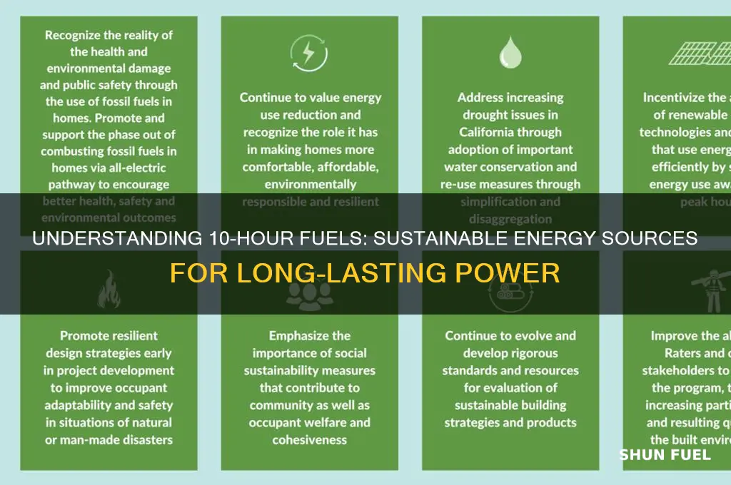 what are 10 hour fuels