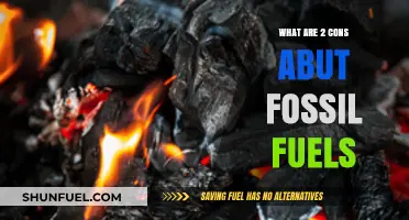 Fossil Fuels: Two Major Downsides