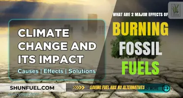 Fossil Fuel Burning: Two Devastating Impacts on Our Planet