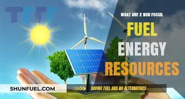 Renewable Energy Sources: Non-Fossil Fuel Alternatives