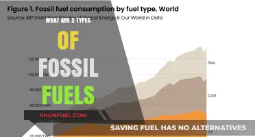 Fossil Fuel Types: Understanding Our Energy Sources