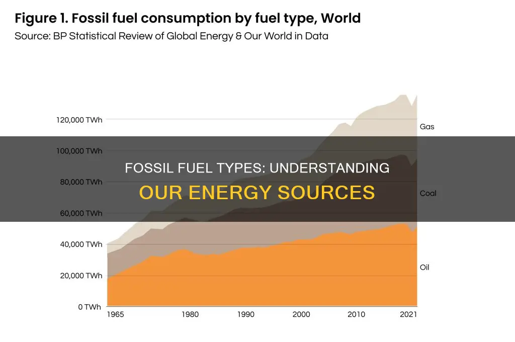 what are 2 types of fossil fuels