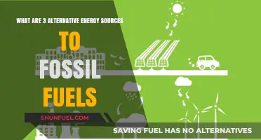 Explore Alternative Energy Sources Beyond Fossil Fuels
