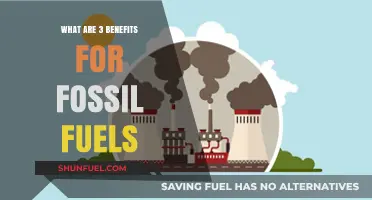Fossil Fuels: Power, Convenience, and Abundance