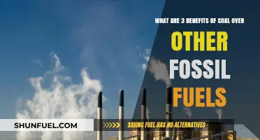 Coal: Efficient, Abundant, and Affordable Energy Source