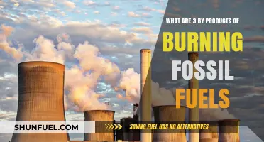 Fossil Fuel Burning: Three Toxic Legacies