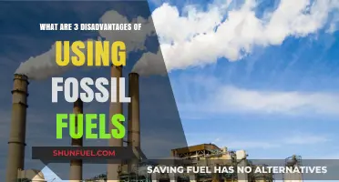 Fossil Fuels' Dark Side: 3 Major Environmental and Economic Downsides
