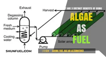 Algae Fuel: Unlocking Sustainable Energy, Environmental Benefits, and Economic Growth