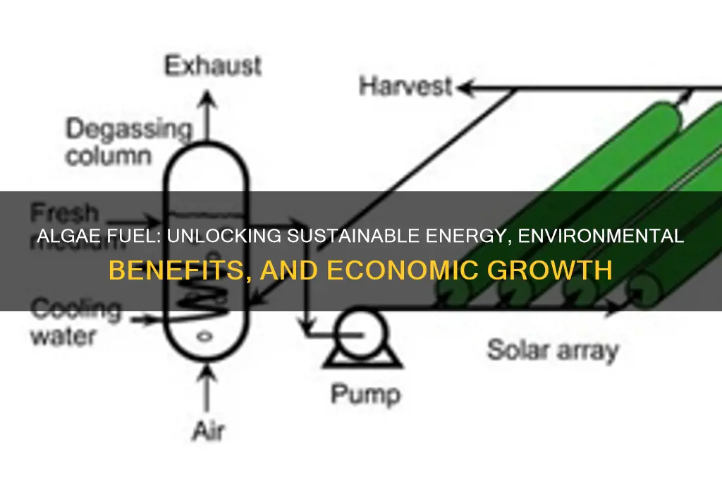 what are 3 distinct benefits of using algae as fuel