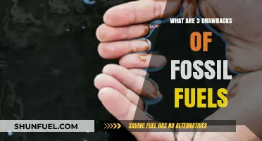 Fossil Fuels: Drawbacks and Our Future