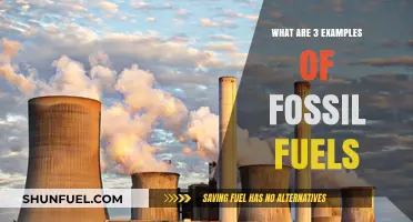 Fossil Fuel Examples: Coal, Oil, and Natural Gas