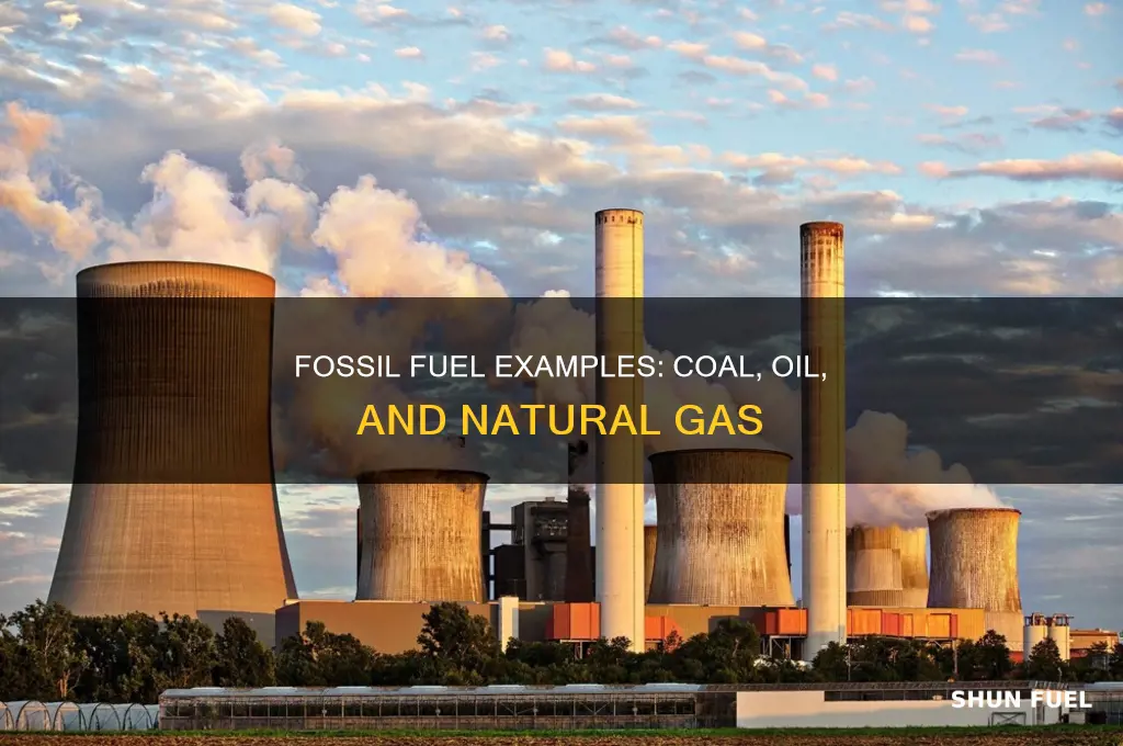 what are 3 examples of fossil fuels
