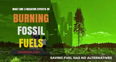 Fossil Fuel Burning: Three Harmful Impacts
