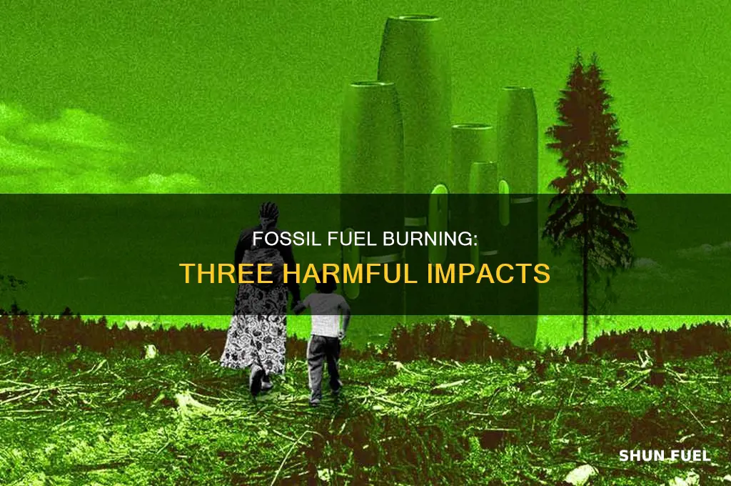 what are 3 negative effects of burning fossil fuels