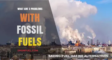 Fossil Fuels: Three Pressing Problems to Address Now