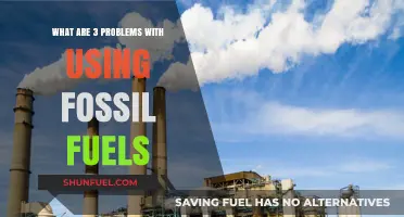 Fossil Fuels' Dark Side: 3 Major Environmental and Economic Issues