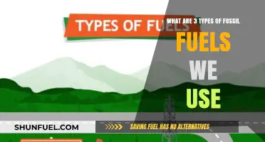 Exploring the Three Primary Fossil Fuels Powering Our World