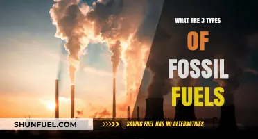 Fossil Fuels: 3 Key Varieties and Their Uses