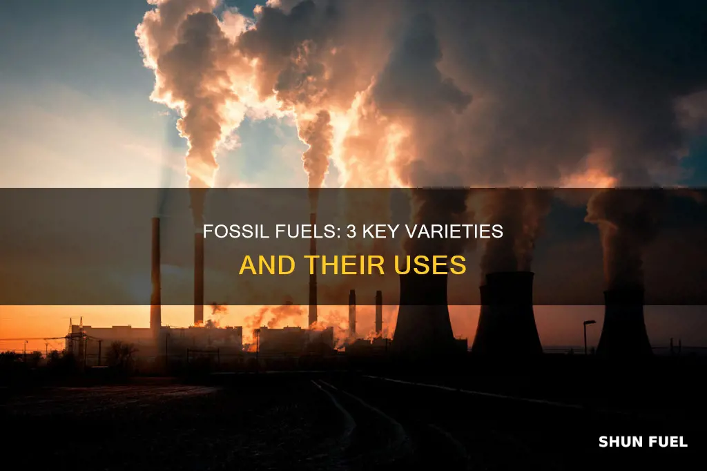 what are 3 types of fossil fuels