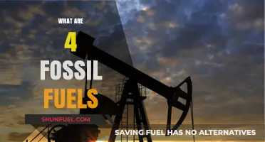 Fossil Fuel Fundamentals: 4 Key Sources Explored
