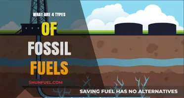 Fossil Fuel Sources: Four Key Varieties Explored