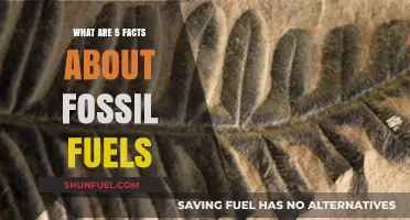 Fossil Fuels: 5 Intriguing Facts You Should Know