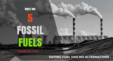 Exploring Five Fossil Fuels: Understanding Their Impact