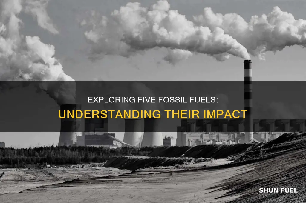 what are 5 fossil fuels