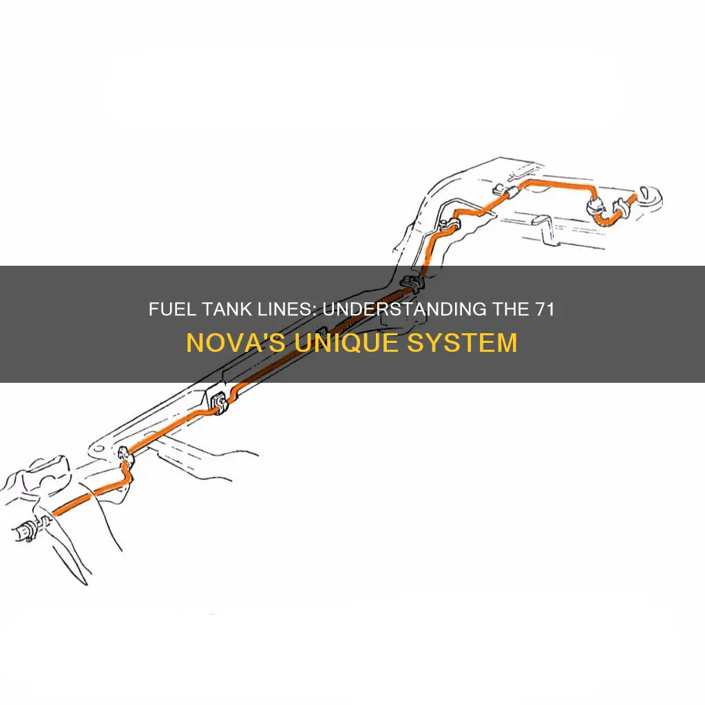 what are 71 nova fuel tank lines for