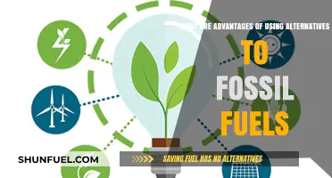 Greener Energy: Benefits of Fossil Fuel Alternatives