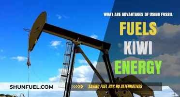 Fossil Fuels in Kiwi Energy: Key Advantages and Benefits Explained