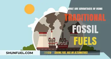 Fossil Fuels: Reliable Energy Sources, But at What Cost?