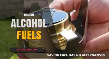 Understanding Alcohol Fuels: Types, Benefits, and Environmental Impact