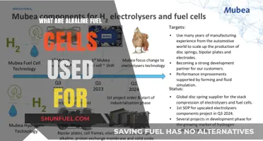 Exploring Alkaline Fuel Cells: Applications and Real-World Uses