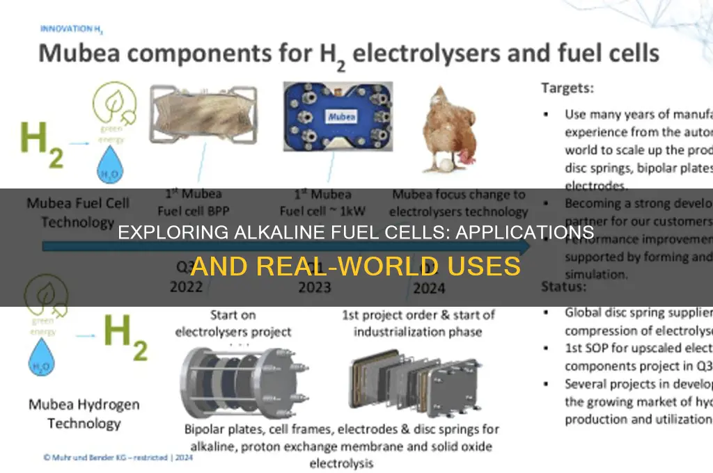 what are alkaline fuel cells used for