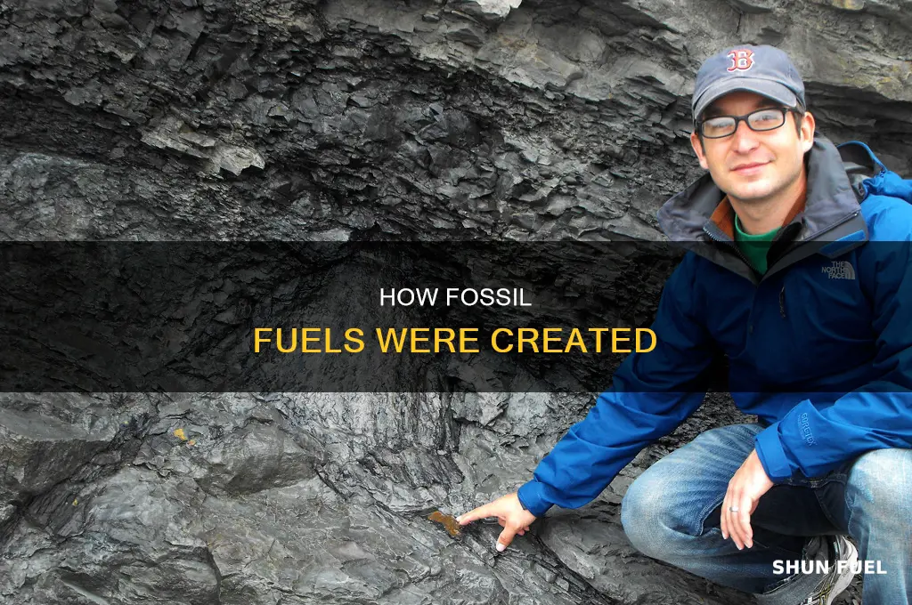 what are all fossil fuels formed from