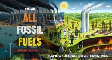 Fossil Fuels: Exploring Their Nature and Impact