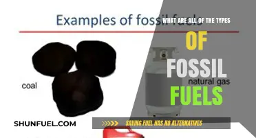 Fossil Fuel Varieties: Understanding Their Differences