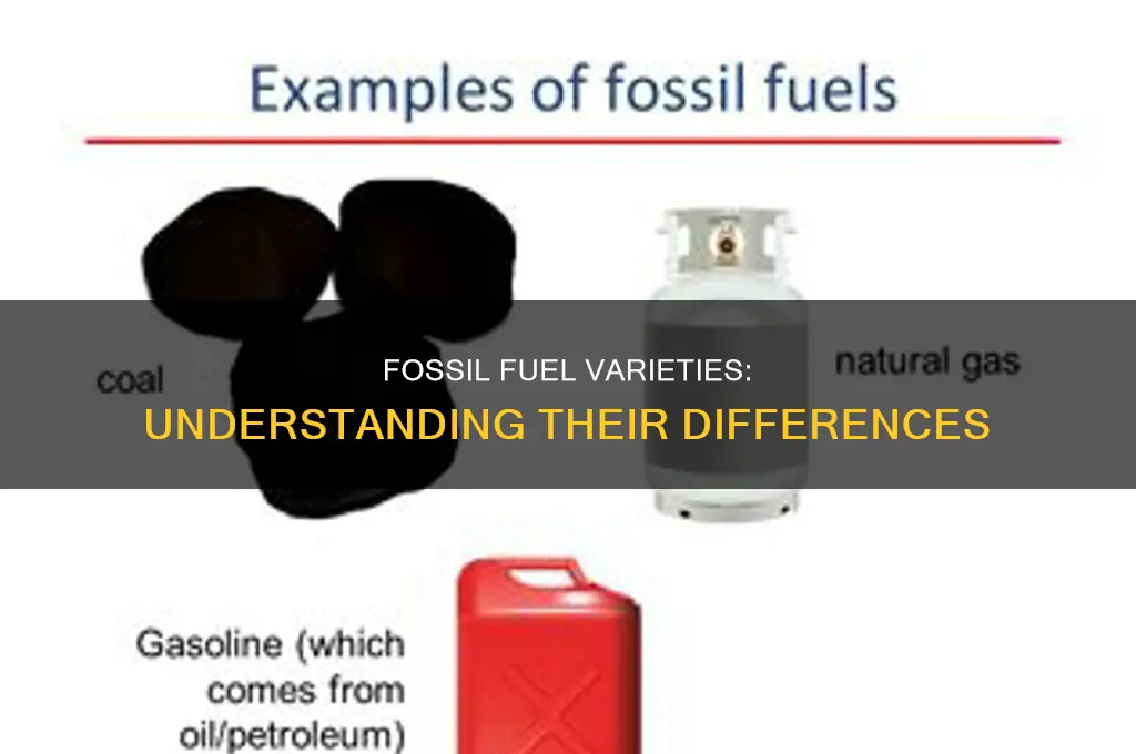 what are all of the types of fossil fuels