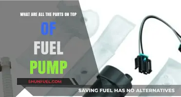 Understanding the Components Mounted on Top of a Fuel Pump