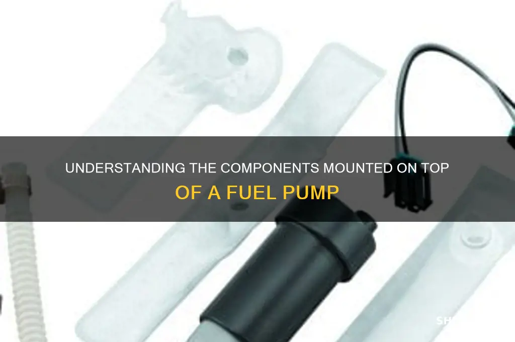 what are all the parts on top of fuel pump